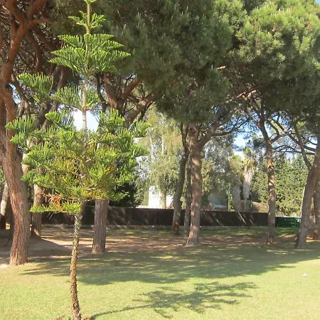 Nice Near Barcelona And Beach Apartment Gava